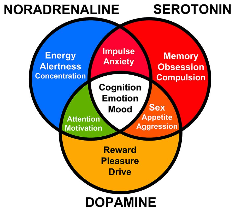 Nicotine and brain neurotransmitters