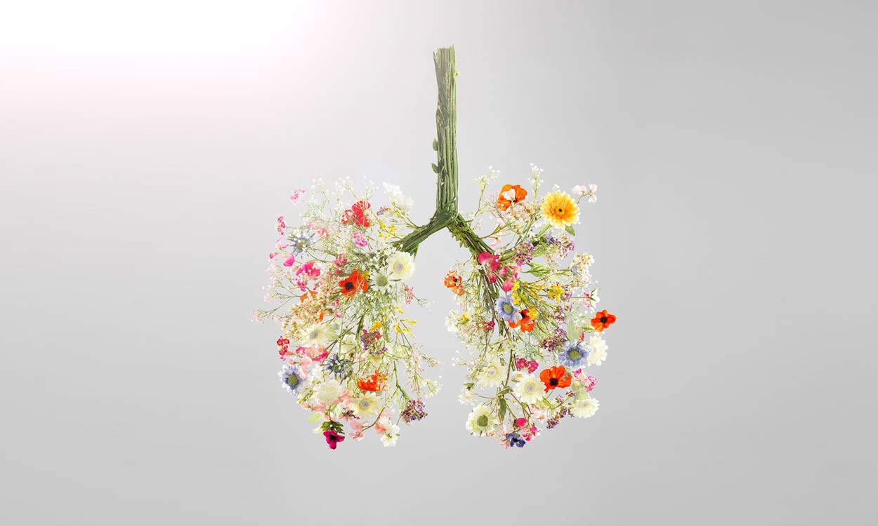 smokers cough lungs flower